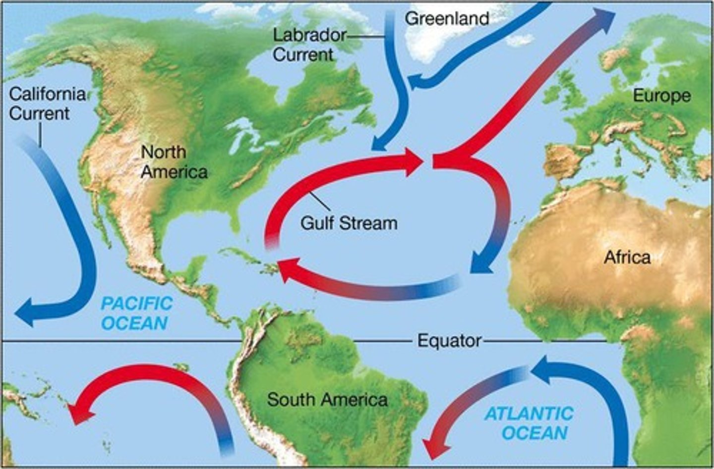 <p>When energy is passed from one trophic level to the next, only 10% (on average) of the energy will be passed on.</p>