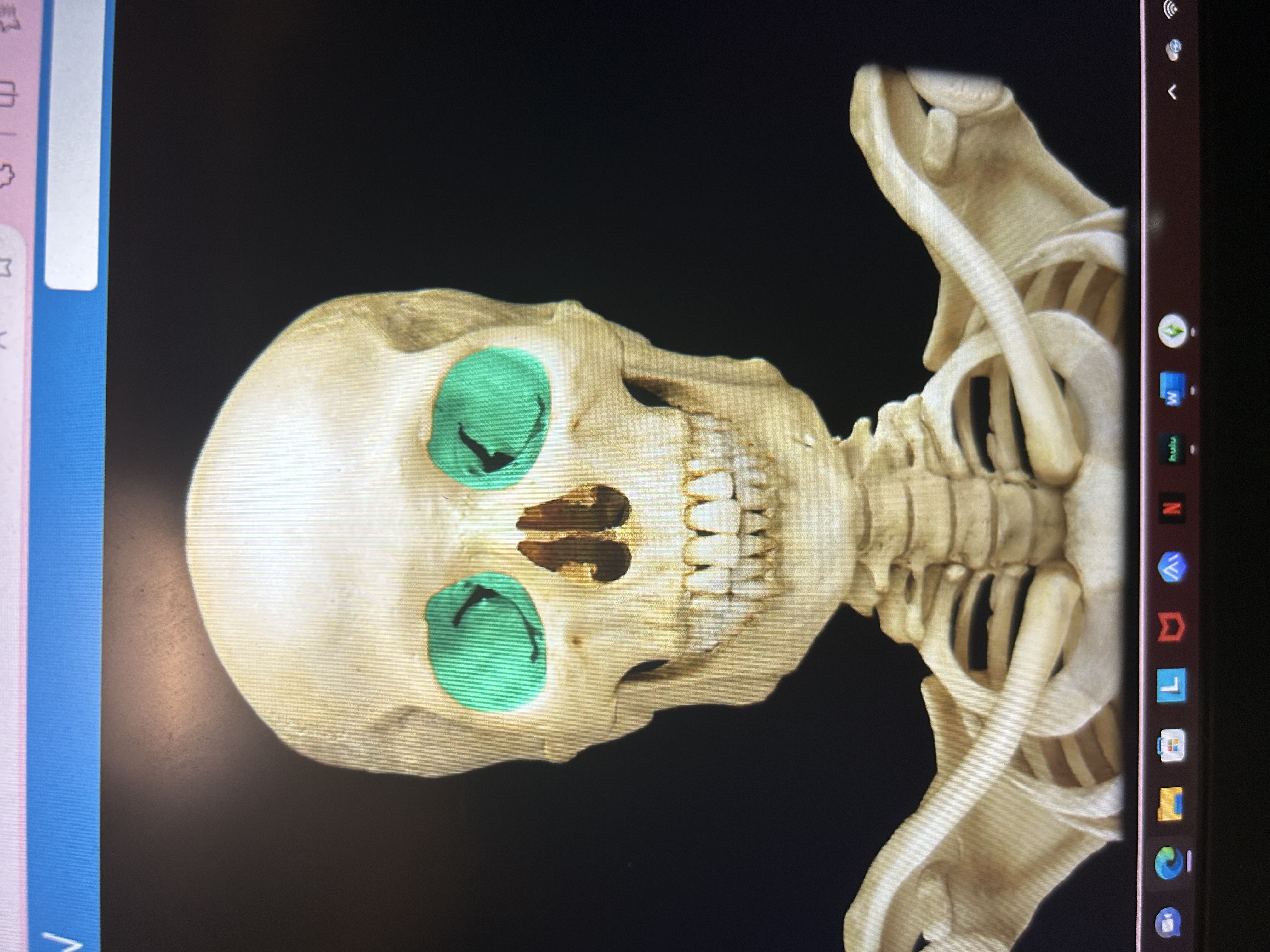 knowt flashcard image