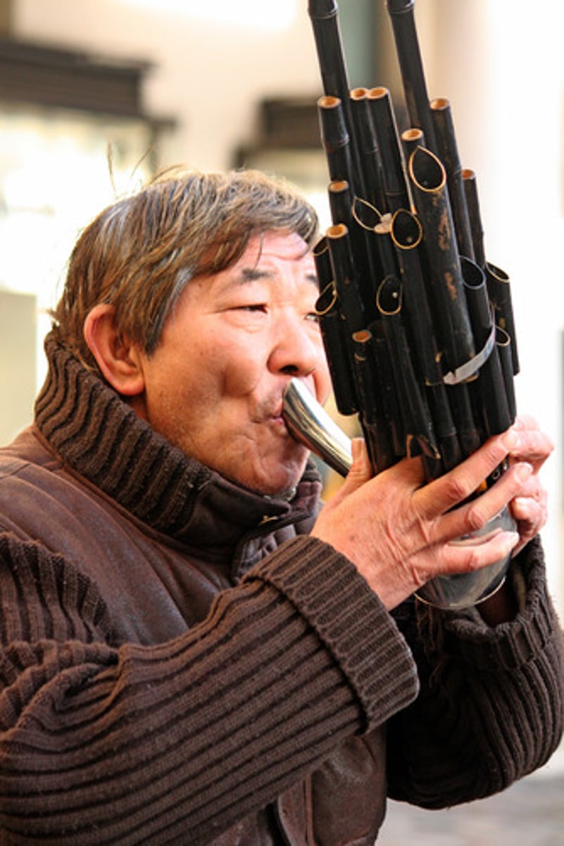 <p>Chinese free reed aerophone with vertical pipes</p>