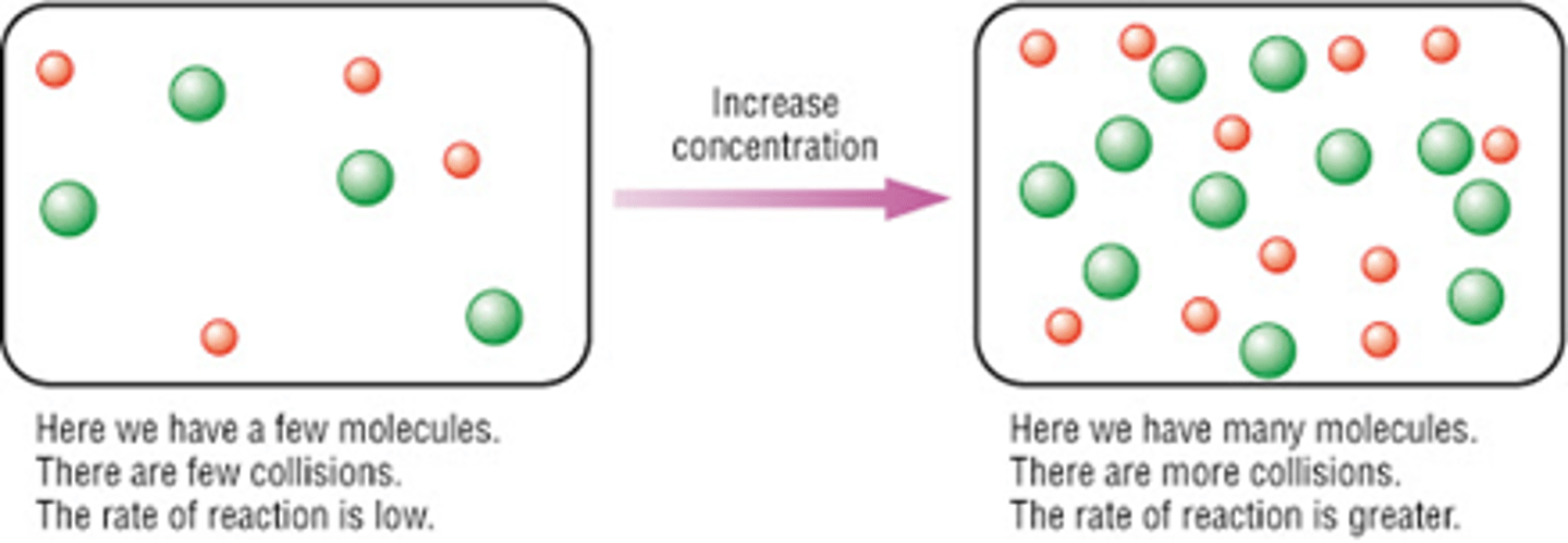 <p>1. Higher concentrations (and pressures)- means more molecules in the same volume so the particles/molecules are in closer proximity to each other on average</p><p>2. So they collide more frequently/ greater chance of the molecules colliding/ more collisions will occur in a certain length of time</p><p>3. There are more collisions per second- higher frequency of collisions.</p><p>4. More collisions per second means more chance to react</p><p>5. The rate of reaction increases</p>