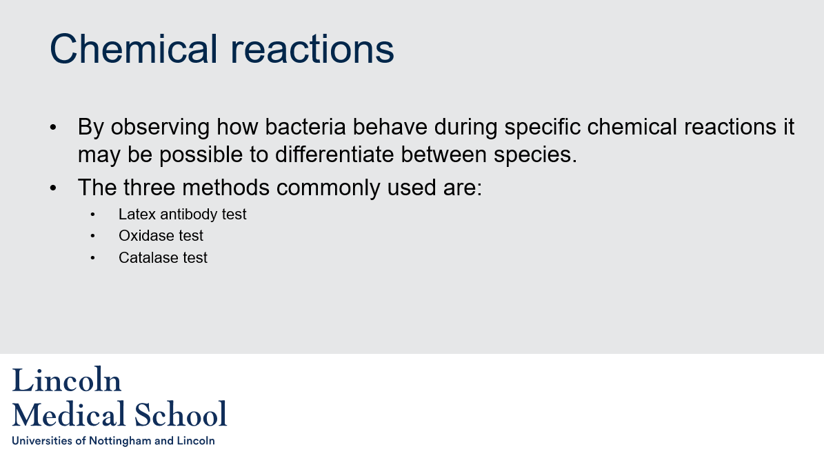 <p>By observing how bacteria behave during specific chemical reactions it may be possible to differentiate between species. The three commonly used methods are the Latex antibody test, Oxidase test, and Catalase test.</p>