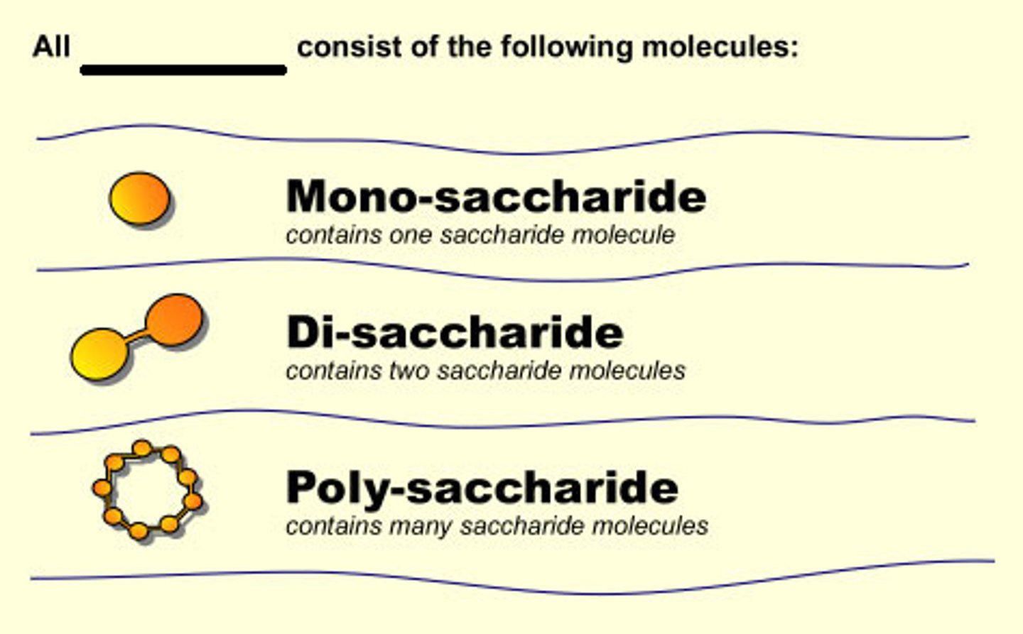 <p>Biomolecule that includes sugar, starch, or cellulose and it serves as a major energy source in the diet of animals. These compounds contain only C, H, and O.</p>