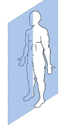 <p>Label the plane of section</p>