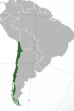 <p>Which country is this?</p>