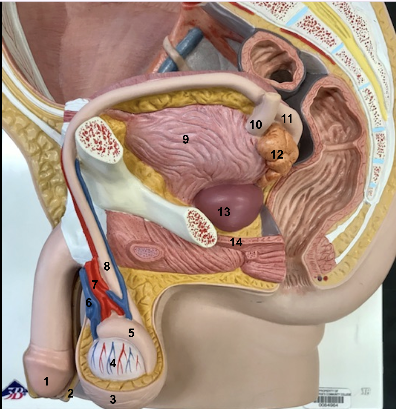<p>What is number 2?</p>