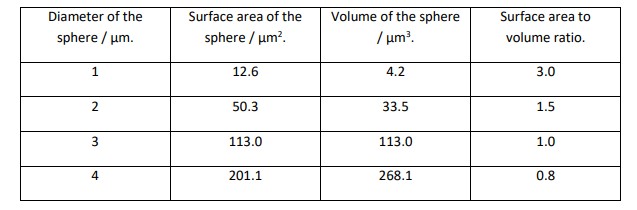 <p>Explain why a large surface area to volume ratio can increase cell effeciency</p>
