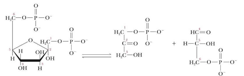 <p>What step of glycolysis is this?</p>