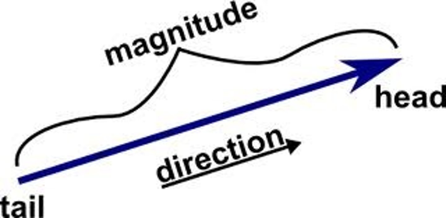 <p>direction and magnitude</p><p>- distance and [direction]</p>