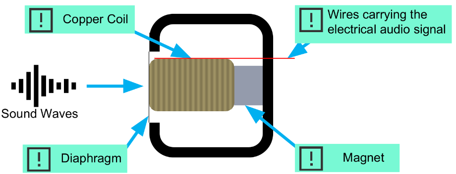 <ul><li><p>Copper coils</p></li><li><p>Sound waves</p></li><li><p>Diaphragm</p></li><li><p>Wires carrying the electrical audio signal</p></li><li><p>Magnet</p></li></ul>