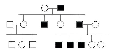 <p><span>In the following pedigree, the indicated trait is most likely caused by which type of allele?</span></p><p>Y-linked</p><p>&nbsp;</p><p>autosomal dominant</p><p>&nbsp;</p><p>X-linked recessive</p><p>&nbsp;</p><p>autosomal recessive</p><p>&nbsp;</p><p>X-linked dominant</p>