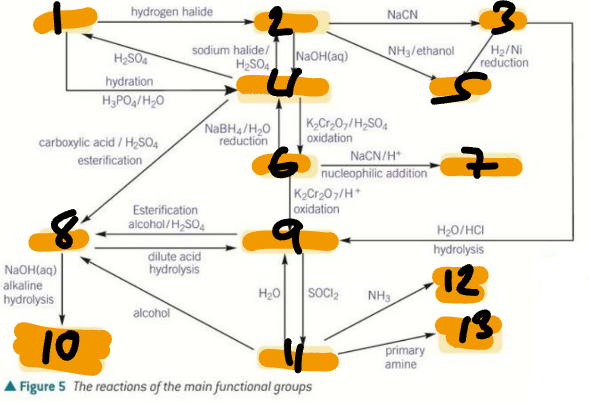 <p>Label the Products of the Synthetic Routes (8→13)</p>