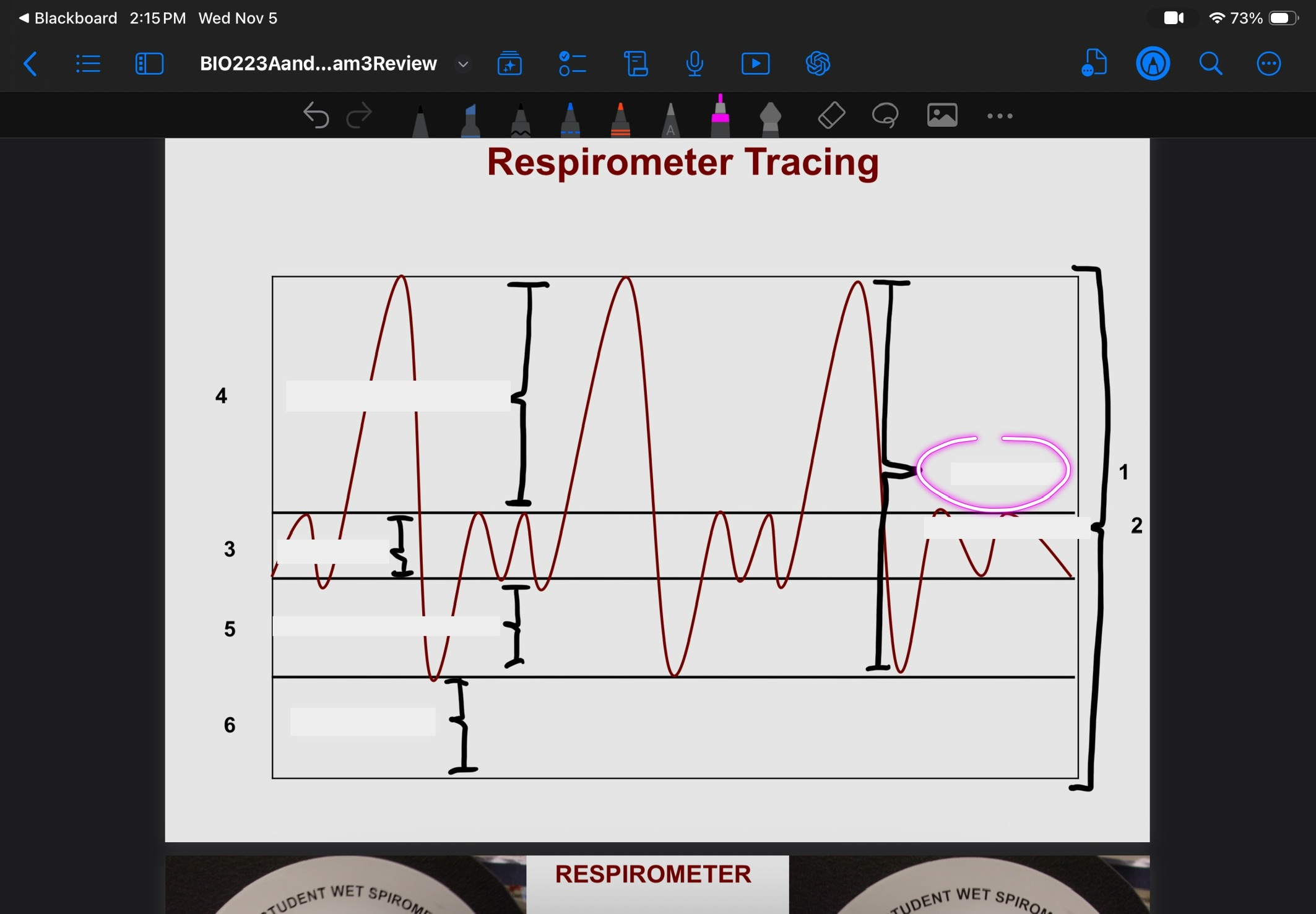 <p>What is this?</p>