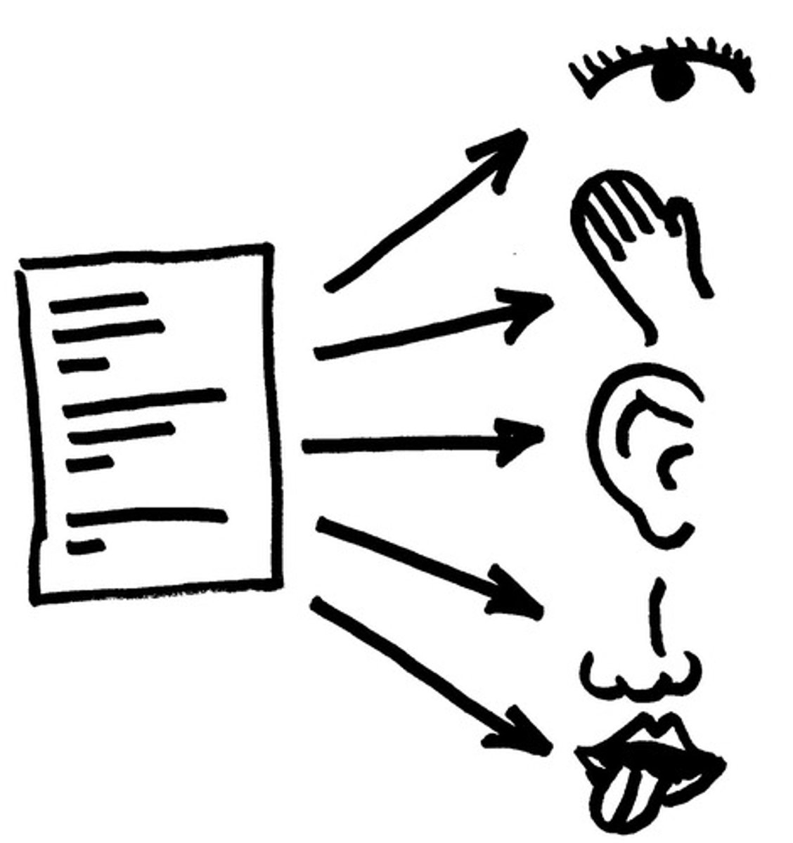 <p>details that appeal to the 5 SENSES (sight, sound, hearing, taste, touch)</p>