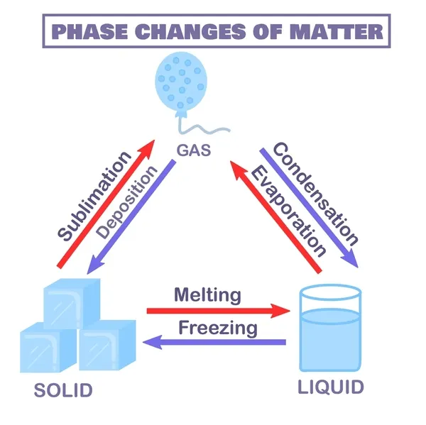 <ol><li><p>Solid to liquid: freezing</p></li><li><p>Liquid to solid: melting</p></li><li><p>Liquid to gas: evaporation</p></li><li><p>Gas to liquid: condensation</p></li></ol><p></p>