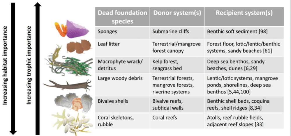 <p>Ecosystem function</p>