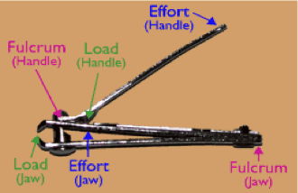 <p>A common example of a domestic compound machine is nail clippers. A nail clipper contains two levers. </p><p>A second class lever and a third class lever. The cutting blades themselves are also simple machines as they are inclined planes. </p><p></p>