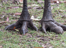 <p><span><span>Digit 1 has been lost</span></span></p>