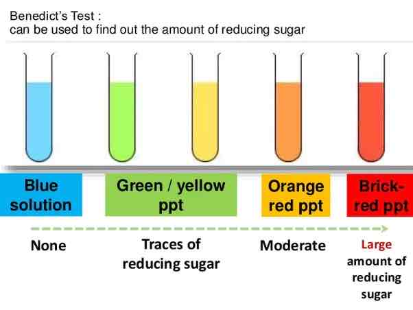 <p>The Benedict's test - add Benedict's reagent to the sample then heat the solution gently. A green/yellow then orange then brick-red colour indicates that how much sugar is present.</p>