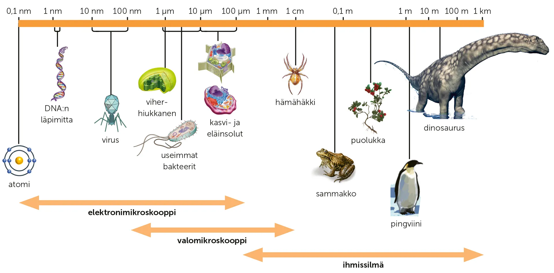 <p>aika järjestys kronologinen kaiken alulle esim millon bigbang tai dinot</p>