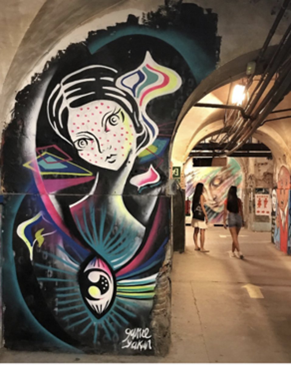 <p>a) Creates images about women and nature and the gentle power of women<br>b) Combines her background in both illustration and interior architecture<br>c) In her street art</p>