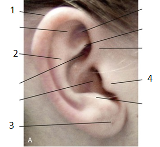 <p>Wat is 4</p>