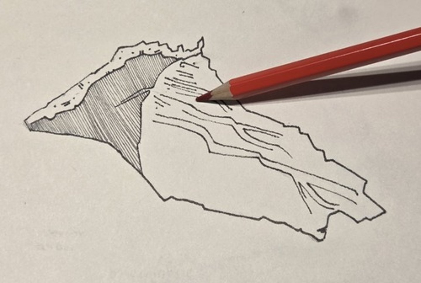 <p>the vomer is a thin verticle sheet of bone on the midline below the Alae</p>