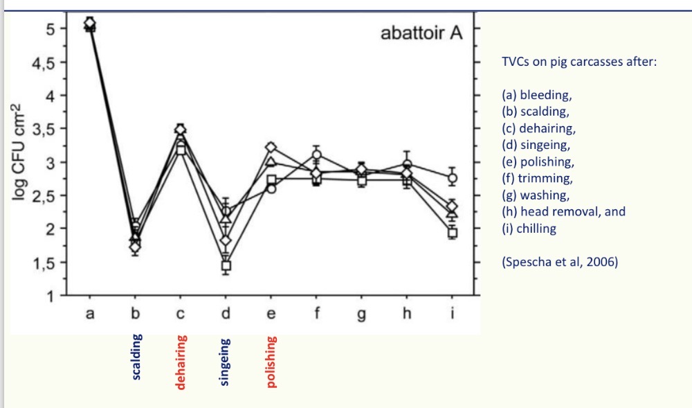<p>Issues with some skin cleaning steps in pigs</p>