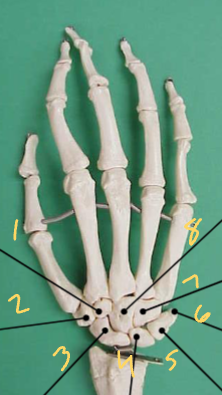 <p>What is number 1? </p>