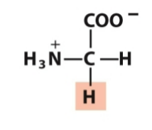 <p>Nonpolar, aliphatic</p>