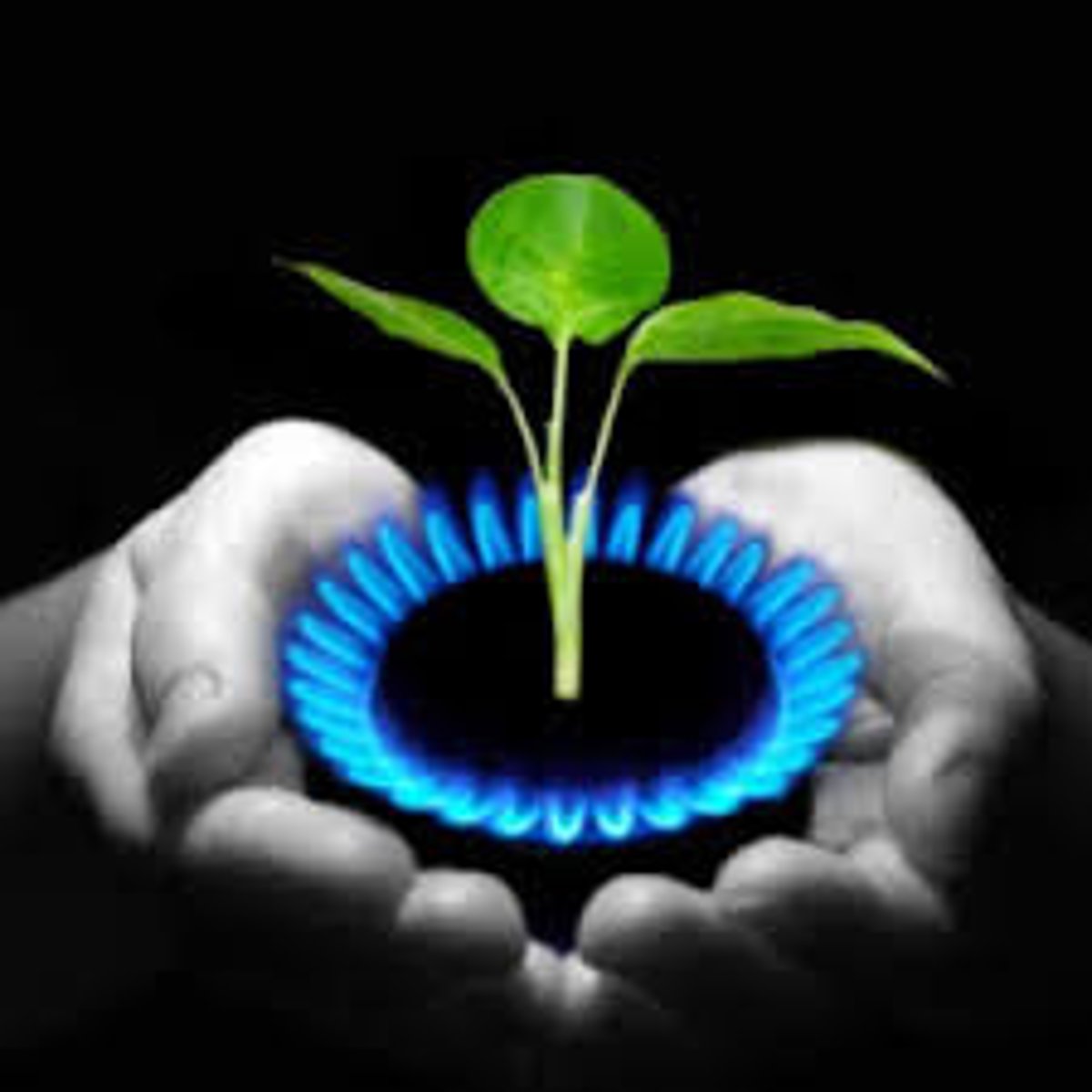 <p>A gas with high methane content, found along with various fossil fuels and is used as a fuel.</p>