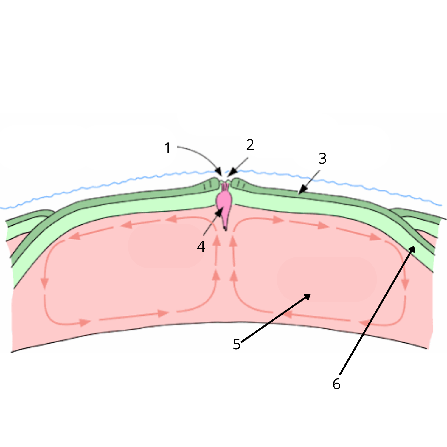 <p>Quelles sont les mots de vocabulaires à remplacer ?</p>