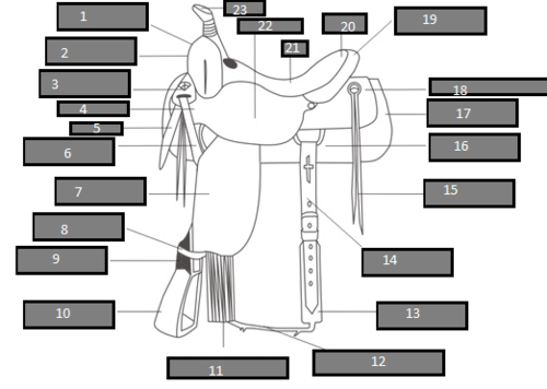 <p>Western Saddle: Label 16</p>