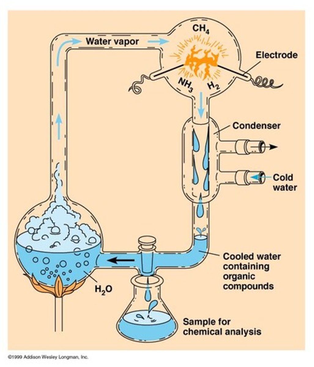 <p>Miller's experiment showed that organic compounds, including amino acids, could form under conditions similar to those of early Earth.</p>