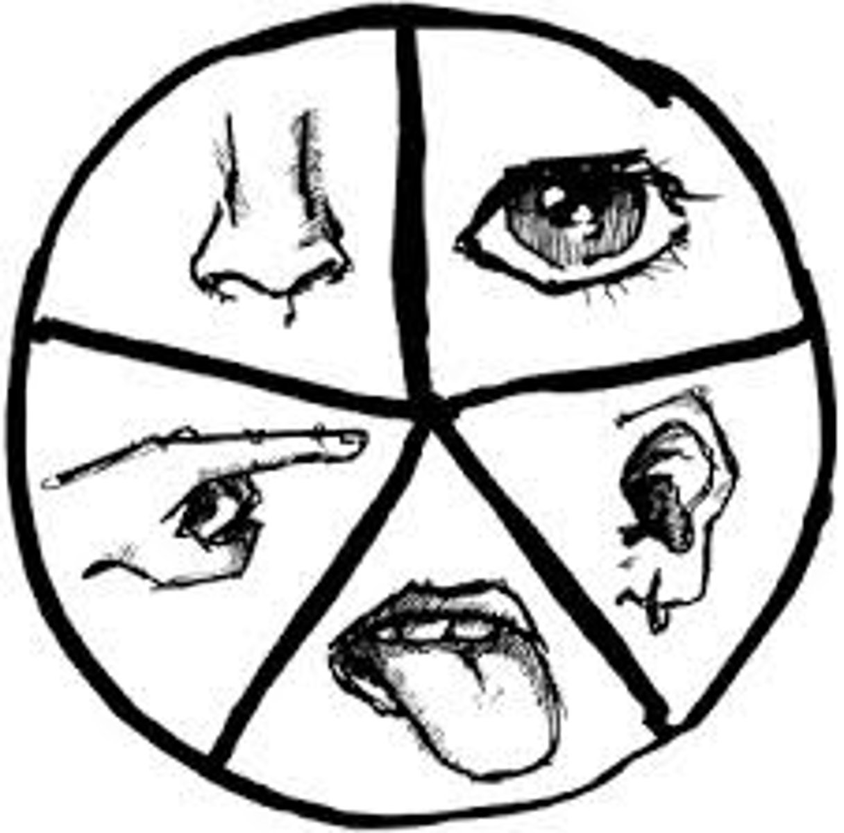 <p>visually descriptive or figurative language.</p>