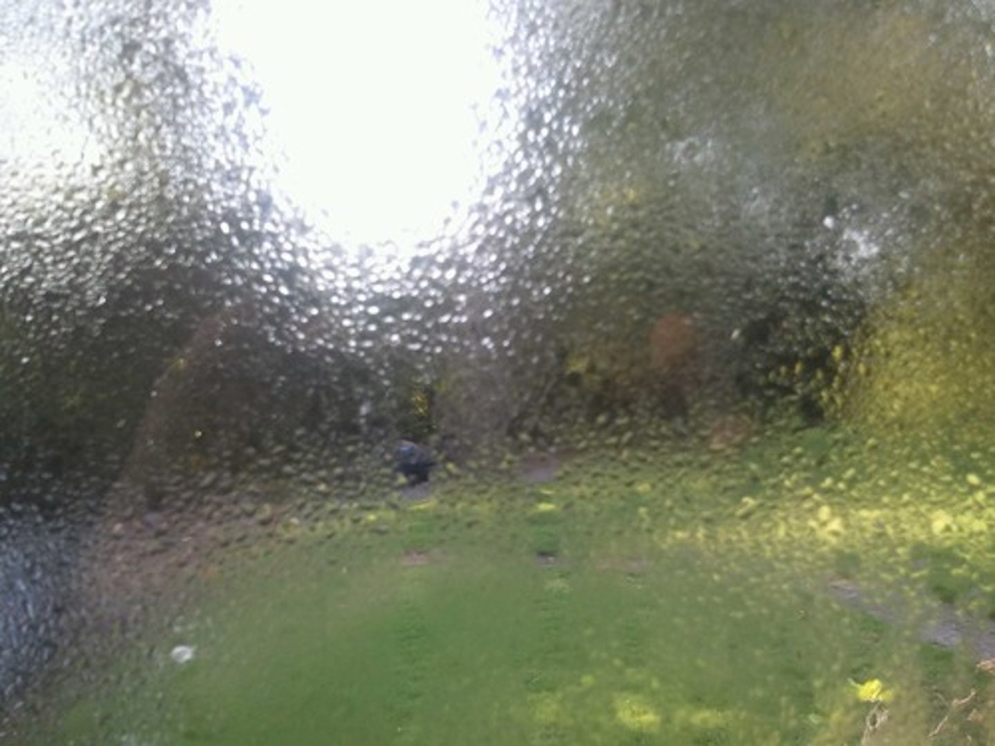 <p>damp</p>