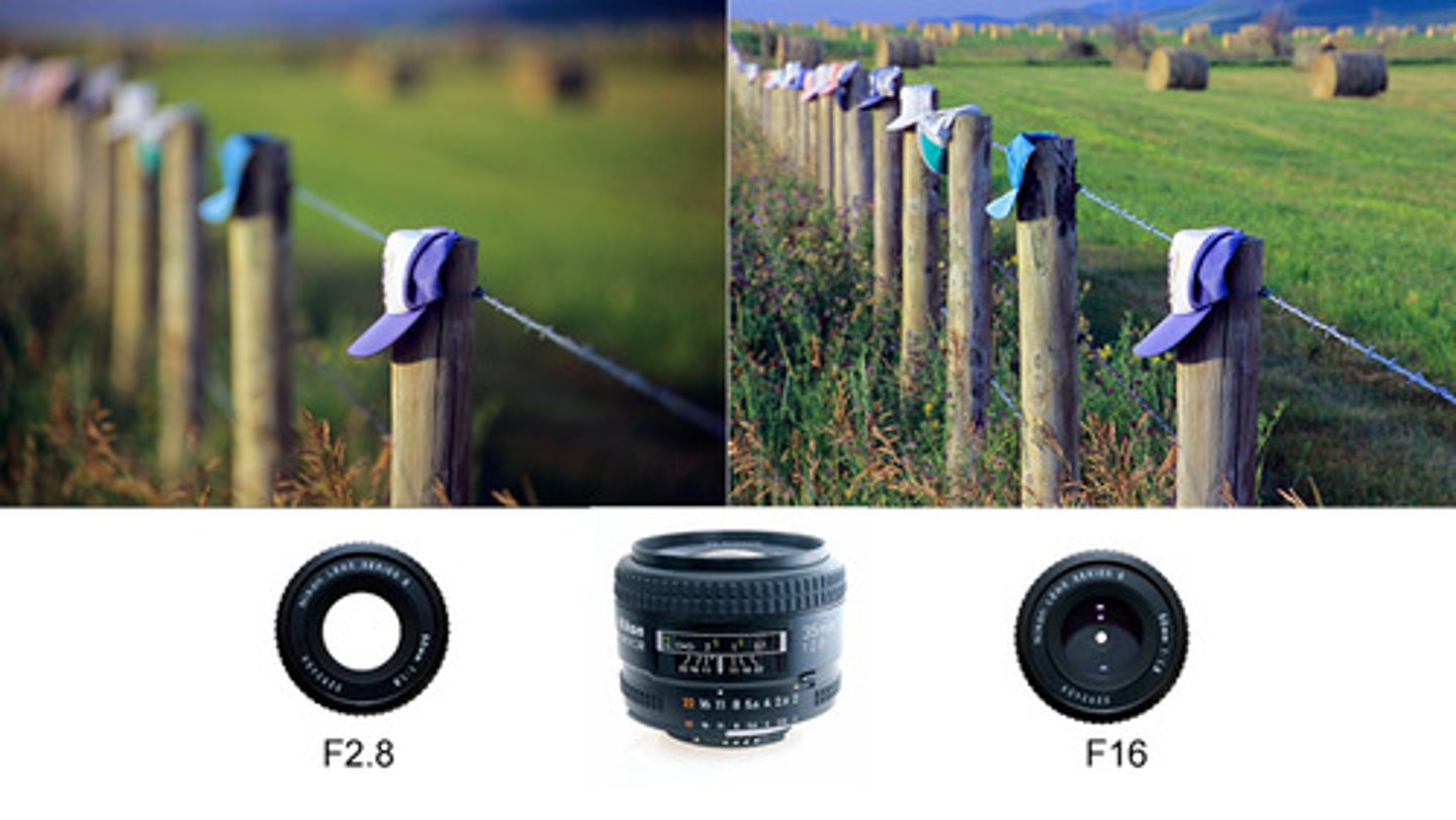 <p>Is the distance between the closest and farthest objects in a photo that appears acceptably sharp.</p>