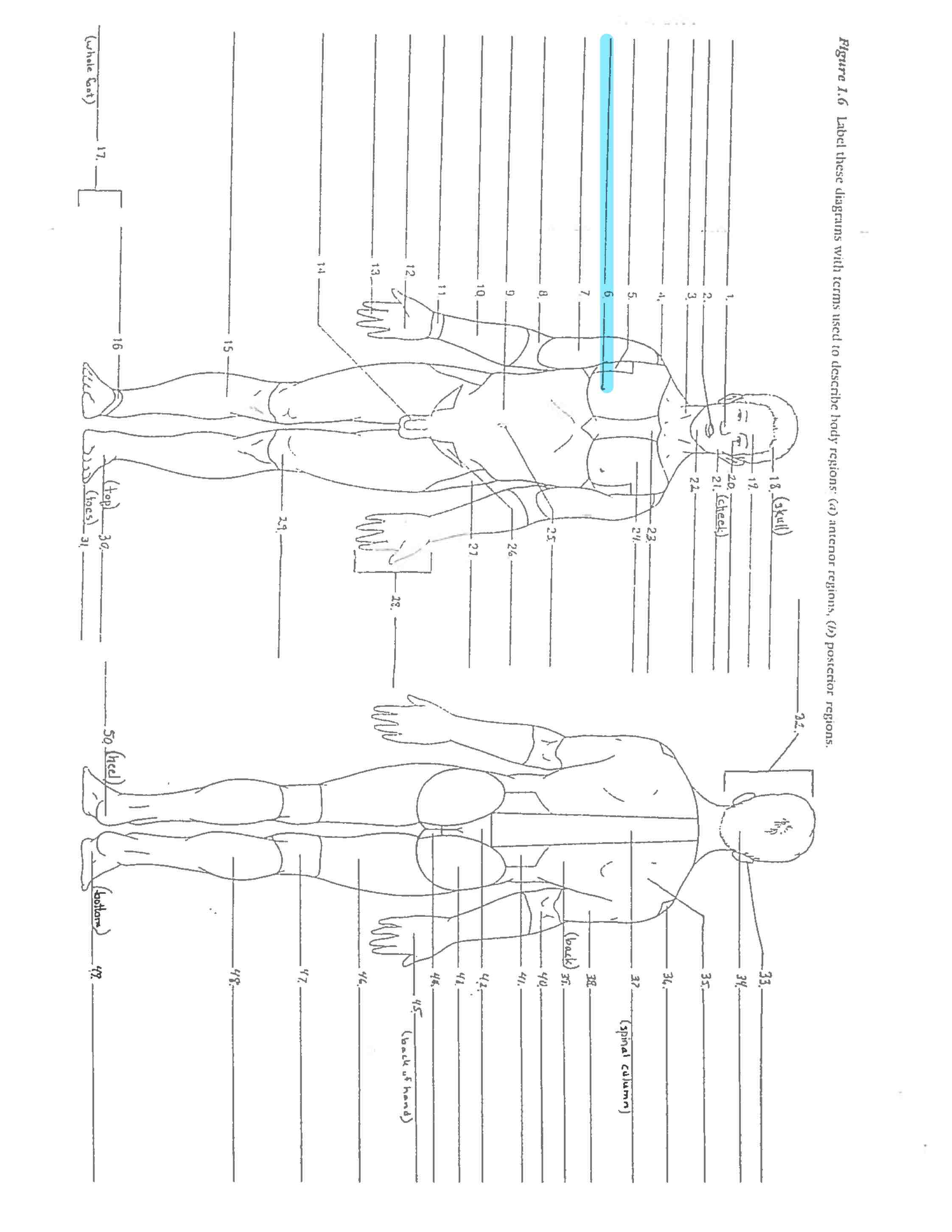 <p>Line 6 </p>