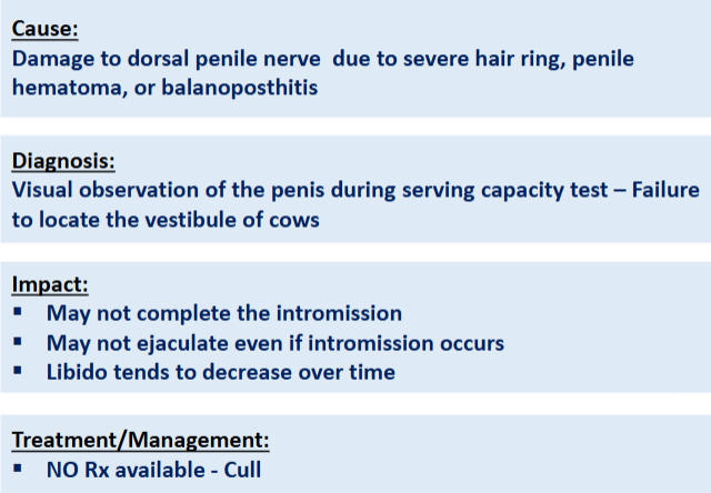 <p><span>Desensitization of the glans penis</span></p>