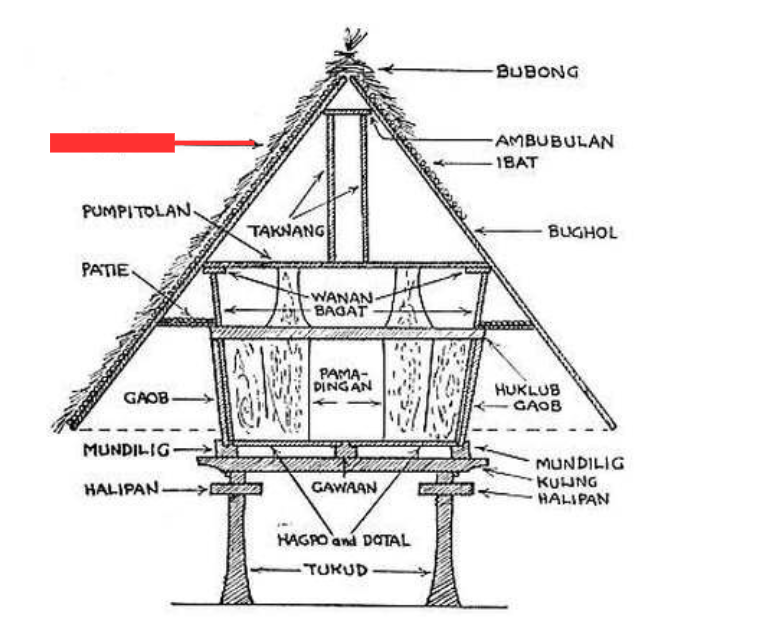 term image