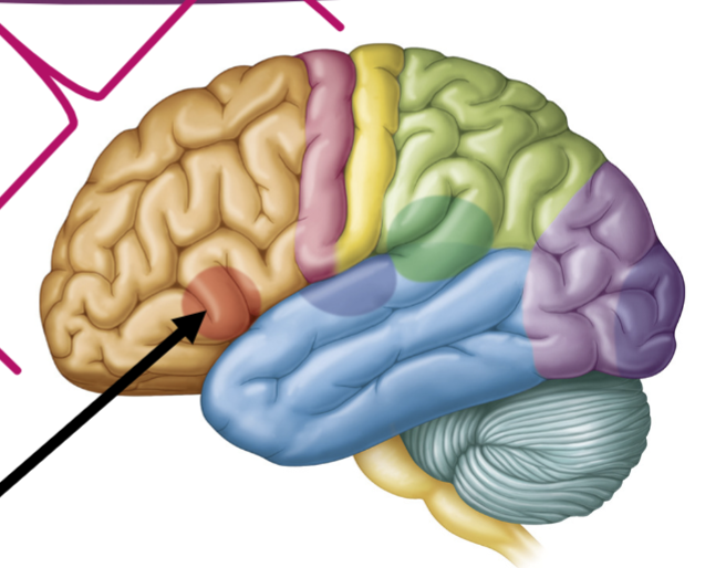 <p>What is the arrow pointing to?</p>