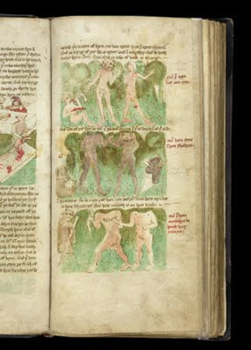 <p>An example of travel literature, most of which was fantasy and inaccurate about 'Fantastic Lands', that inspired many in Europe to explore the world and seek fame and fortune.</p>
