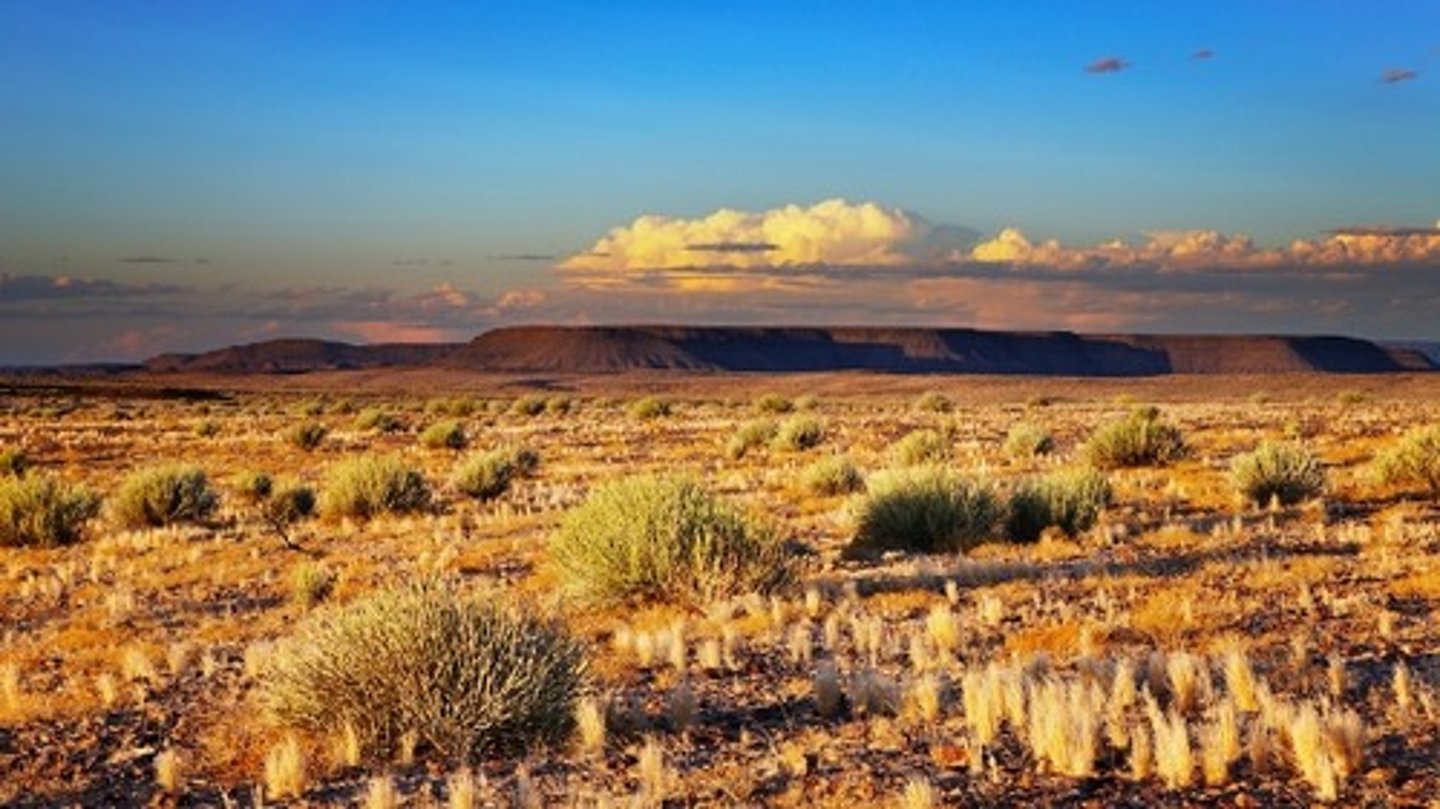<p>Primary Vegetation - Shrubs and bushes<br>Tree Density - sparse<br>Climate - Arid to semi-arid, extreme temperatures <br>Precipitation (mm) - Less than 250 mm<br>Type of Soil - Sandy, rocky and alkaline<br>Biodiversity - Moderate<br>Wildlife - Desert-adapted mammals, reptiles,<br>Human Impact - Vulnerable to overgrazing, habitat degradation</p>