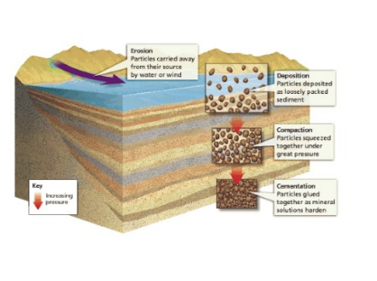 <p><strong>sedimentary processes</strong></p>