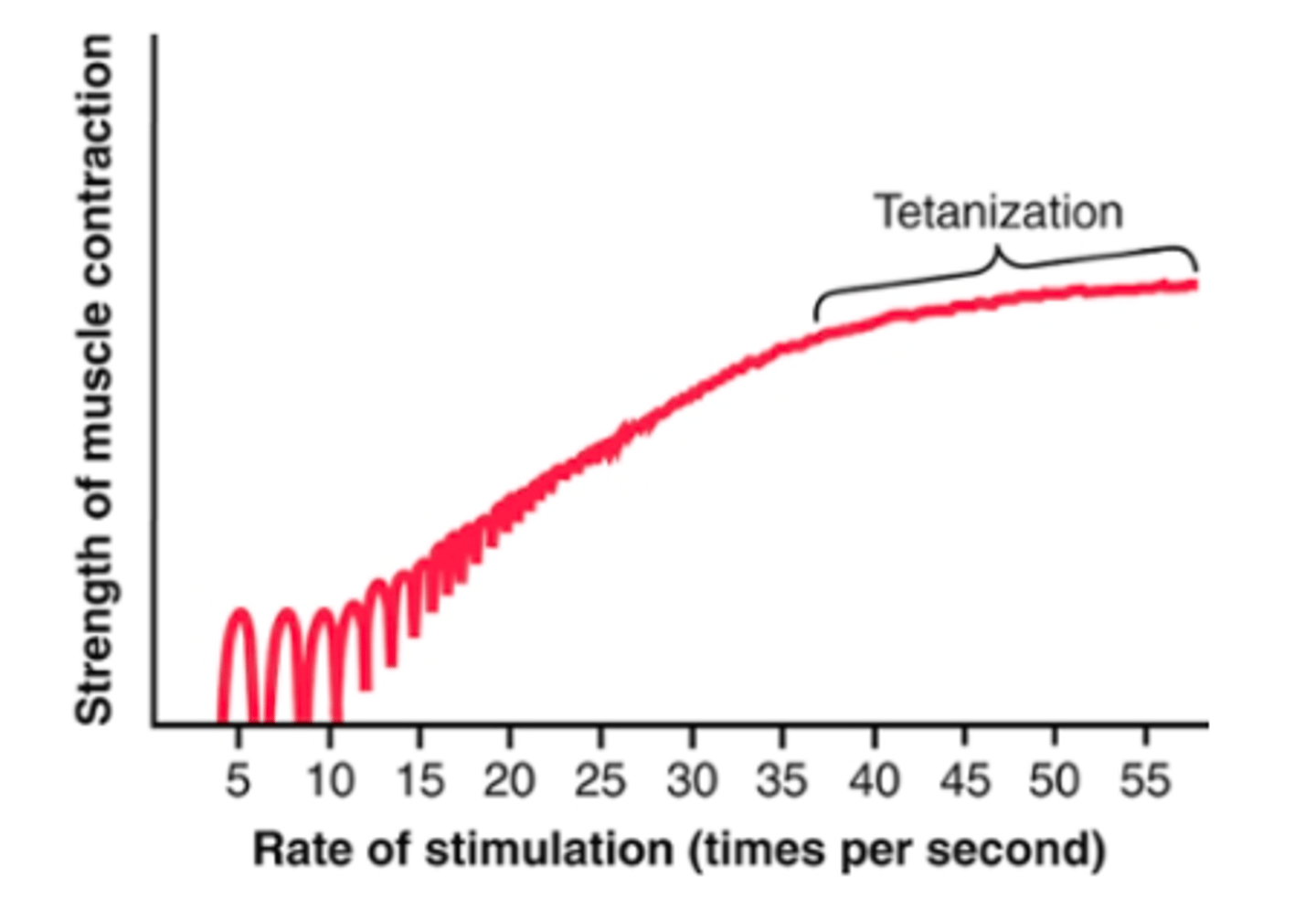 <p>enough calcium ions are maintained in the muscle sarcoplasm, even between action potentials, so that a full contractile state is sustained w/o allowing any relaxation between APs</p>