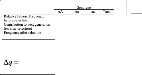 <p>the general selection model</p><p>and /\q</p>