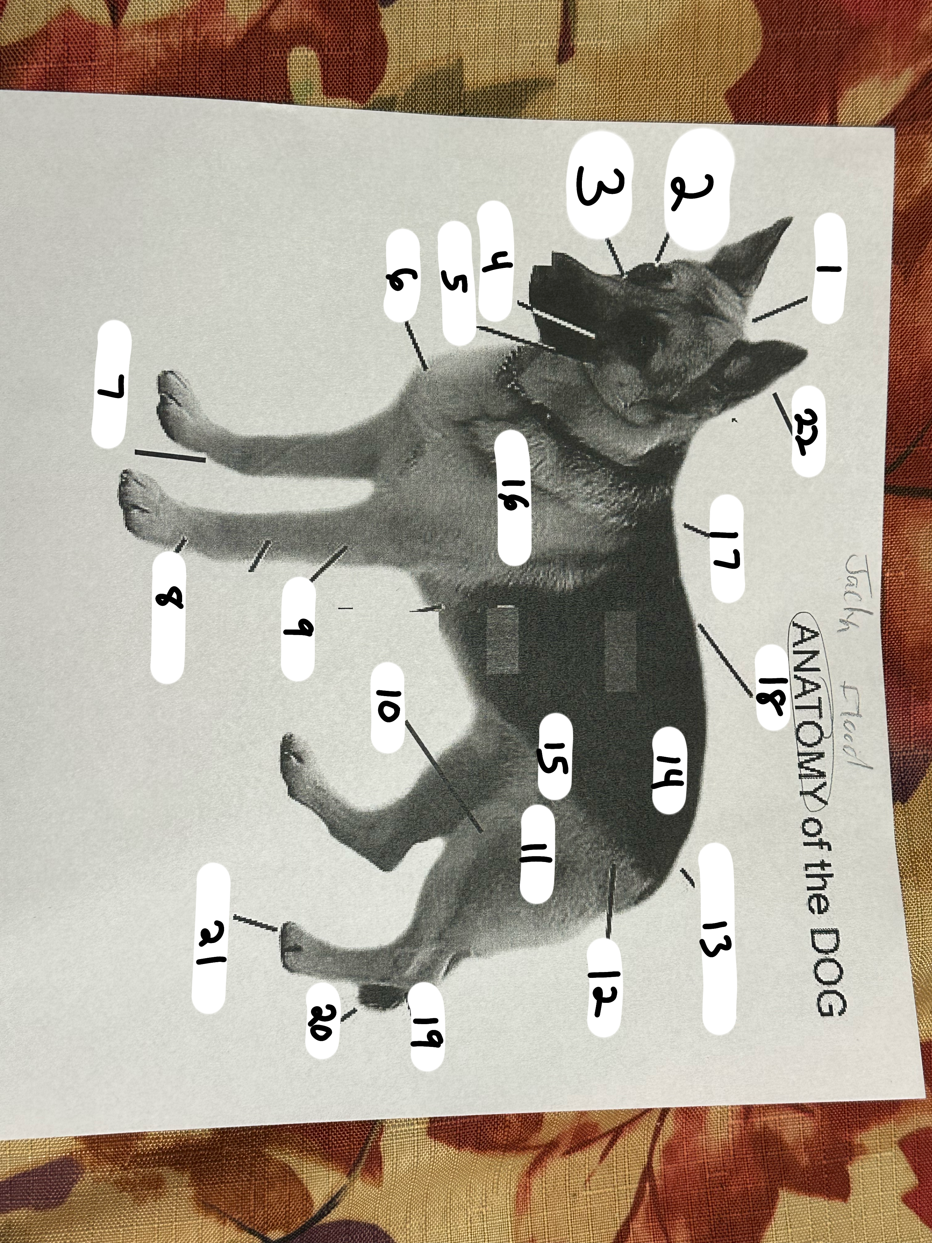 <p>1</p>