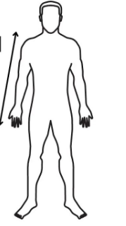 <p><span>a body part that is closer to the point of origin of a limb or structure, relative to another body part</span></p>