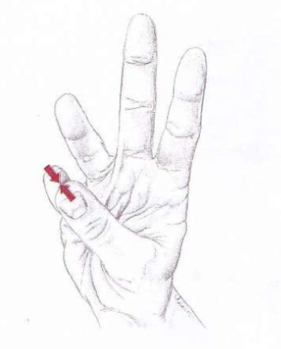 <p>Moving thumb away from palm; the ability to move the thumb into contact with the other fingers.</p>