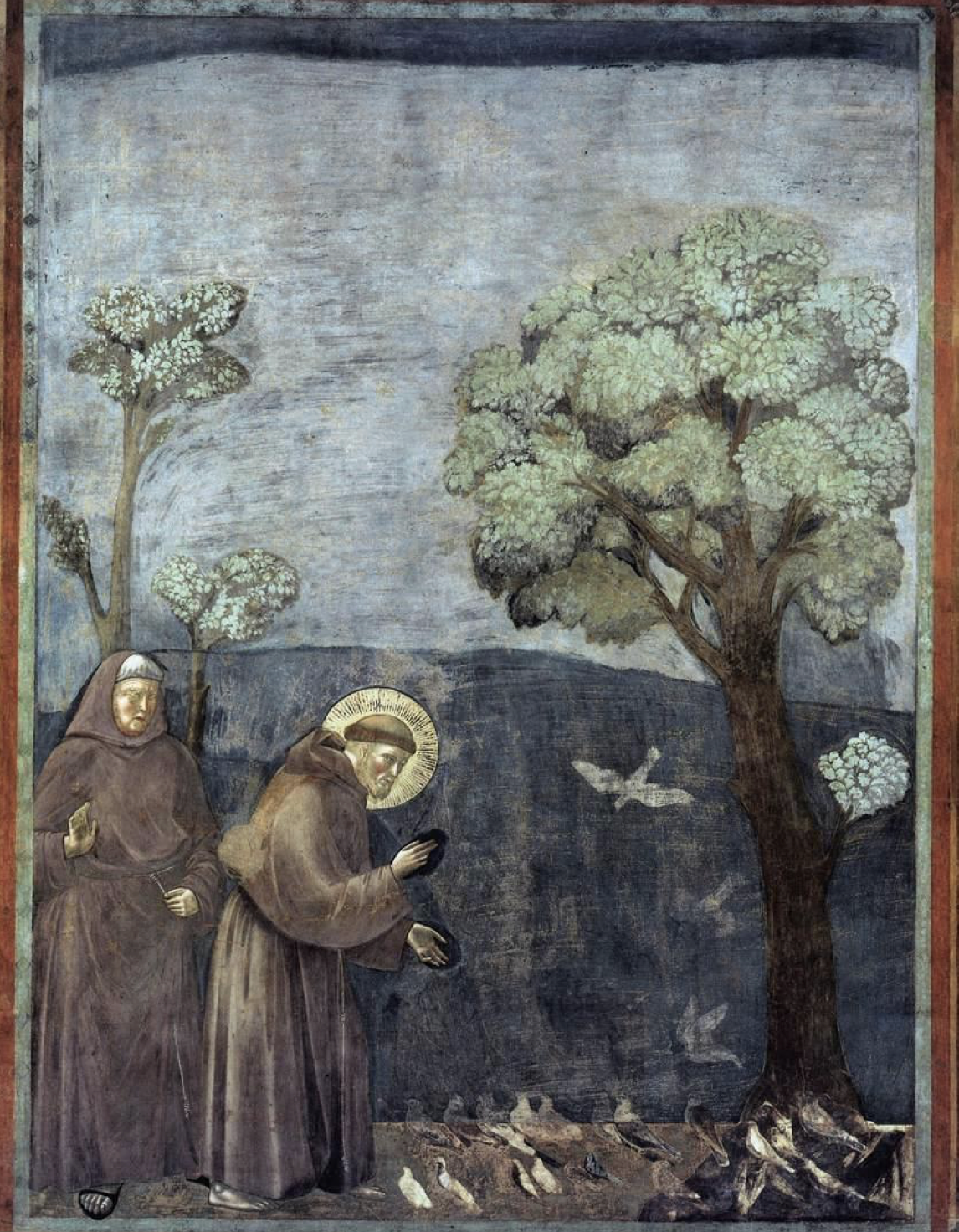 term image