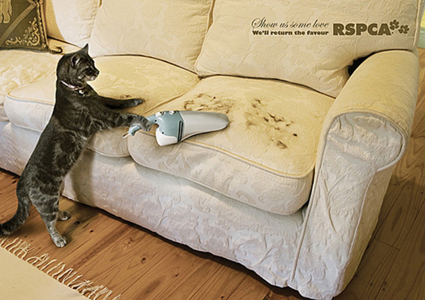 <p>(adj) siêng năng, cần cù</p>